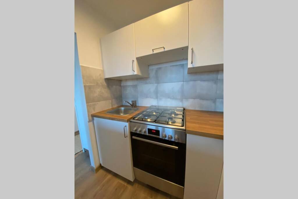 Modern Studio Apartment At Park&Stadium Near City Center Katowice Eksteriør billede