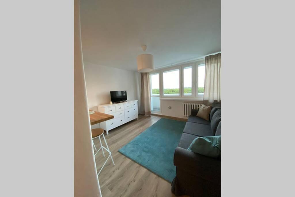 Modern Studio Apartment At Park&Stadium Near City Center Katowice Eksteriør billede