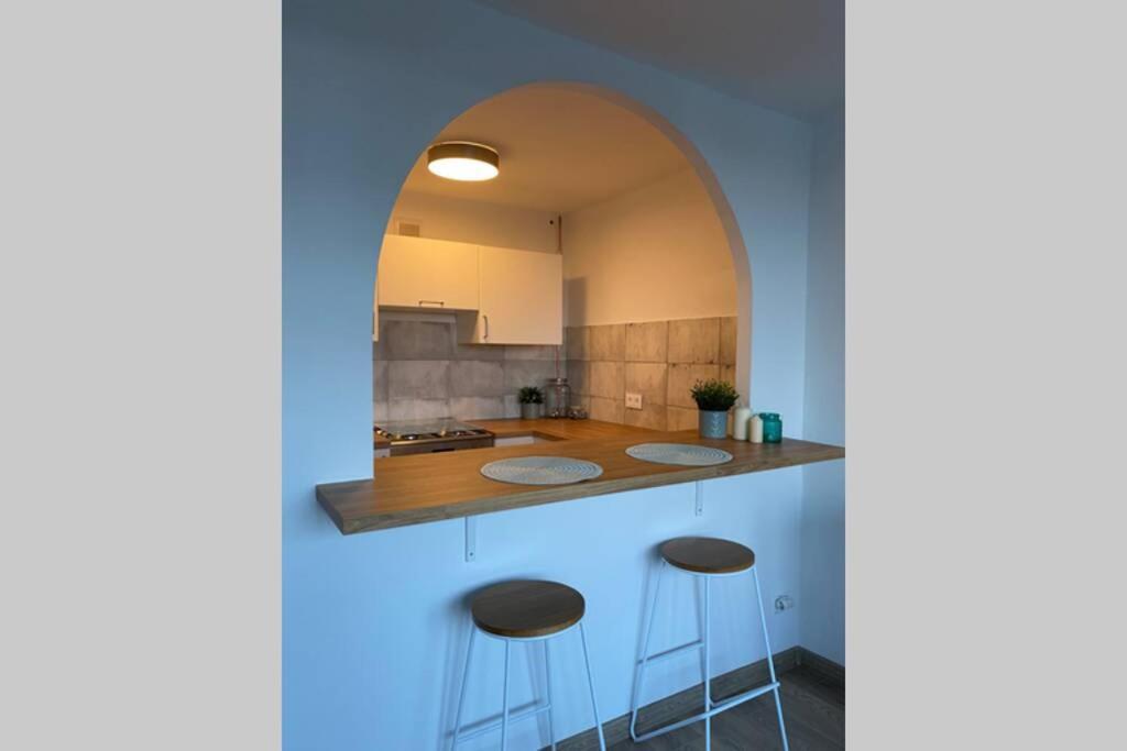 Modern Studio Apartment At Park&Stadium Near City Center Katowice Eksteriør billede